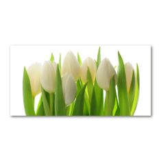 Wallmuralia.sk Foto obraz akryl do obývačky Tulipány 100x50 cm 2 prívesky