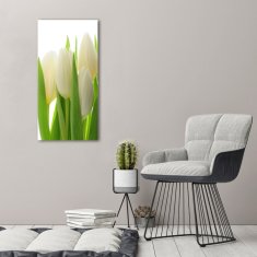 Wallmuralia.sk Vertikálny foto obraz akryl do obývačky Biele tulipány 50x100 cm 2 prívesky