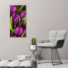 Wallmuralia.sk Vertikálny foto obraz akrylový Fialové tulipány 60x120 cm 2 prívesky