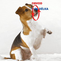 Palkar Nylonový náhubok pre psov veľ. 0 12 cm x 3 cm čierna