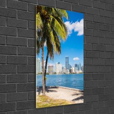 Wallmuralia.sk Vertikálny moderný foto-obraz akryl na stenu Miami 50x100 cm 2 prívesky