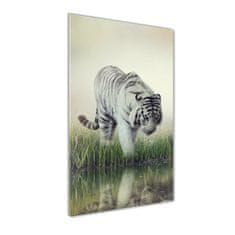 Wallmuralia.sk Vertikálny moderný akrylový fotoobraz Biely tiger 50x100 cm 2 prívesky