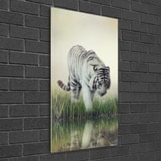 Wallmuralia.sk Vertikálny moderný akrylový fotoobraz Biely tiger 50x100 cm 2 prívesky