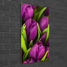 Wallmuralia.sk Vertikálny foto obraz akrylový Fialové tulipány 60x120 cm 2 prívesky