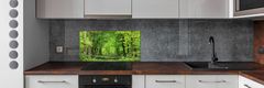 Wallmuralia.sk Dekoračný panel sklo Jarný les 125x50 cm