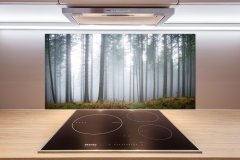 Wallmuralia.sk Dekoračný panel sklo Hmla v lese 100x50 cm