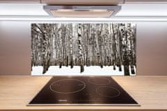 Wallmuralia.sk Dekoračný panel sklo Brezy zima 100x50 cm