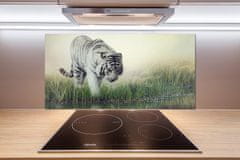 Wallmuralia.sk Dekoračný panel sklo Biely tiger 100x50 cm