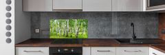 Wallmuralia.sk Dekoračný panel sklo Brezovy les 140x70 cm