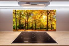 Wallmuralia.sk Dekoračný panel sklo Jesenný les 140x70 cm