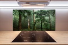 Wallmuralia.sk Dekoračný panel sklo Hmla v lese 100x50 cm