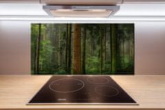 Wallmuralia.sk Dekoračný panel sklo Hmla v lese 140x70 cm
