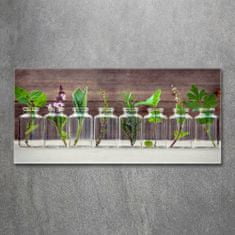 Wallmuralia.sk Foto obraz akrylové sklo Rastliny v pohároch 140x70 cm 2 prívesky