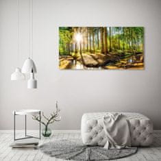 Wallmuralia.sk Foto obraz akryl do obývačky Panorama les 125x50 cm 2 prívesky