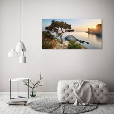 Wallmuralia.sk Foto obraz akryl do obývačky Strom nad morom 100x50 cm 2 prívesky