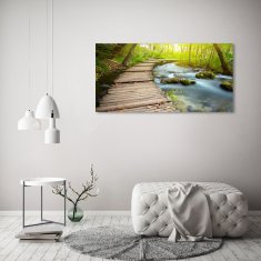 Wallmuralia.sk Foto obraz akrylové sklo Chodník nad riekou 125x50 cm 2 prívesky