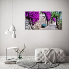 Wallmuralia.sk Foto obraz akrylový na stenu Očarujúca ulička 125x50 cm 2 prívesky