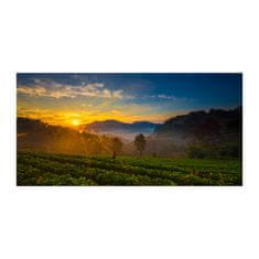 Wallmuralia.sk Foto obraz sklo tvrzené čajová plantáž 125x50 cm 2 prívesky