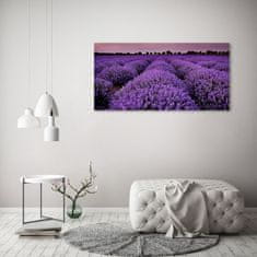 Wallmuralia.sk Foto obraz akryl do obývačky Pole levanduľa 100x50 cm 2 prívesky