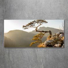 Wallmuralia.sk Foto obraz akryl do obývačky Sokolice Pieniny 120x60 cm 2 prívesky