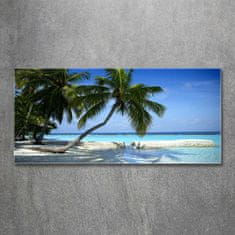 Wallmuralia.sk Foto obraz akryl do obývačky Tropická pláž 100x50 cm 2 prívesky