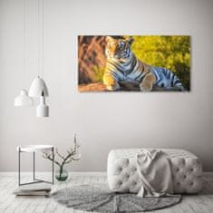 Wallmuralia.sk Foto obraz akryl do obývačky Portrét tigra 100x50 cm 2 prívesky