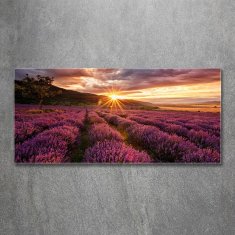 Wallmuralia.sk Foto obraz akrylové sklo Pole levanduľa 100x50 cm 2 prívesky