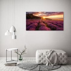 Wallmuralia.sk Foto obraz akrylové sklo Pole levanduľa 100x50 cm 2 prívesky