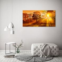 Wallmuralia.sk Foto obraz akryl do obývačky Západ slnka 100x50 cm 2 prívesky