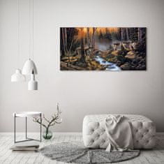 Wallmuralia.sk Foto obraz akryl do obývačky Svorka vlkov 100x50 cm 2 prívesky