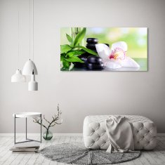 Wallmuralia.sk Foto obraz akrylový do obývačky Orchidea 120x60 cm 2 prívesky