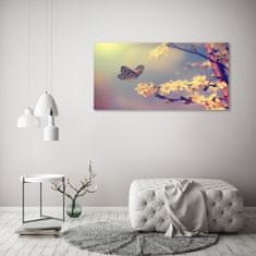 Wallmuralia.sk Moderný obraz fotografie na akrylu Kvet visty a motýľ 120x60 cm 2 prívesky