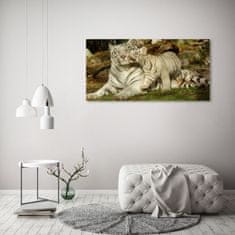 Wallmuralia.sk Foto obraz akryl do obývačky Tigre 125x50 cm 2 prívesky