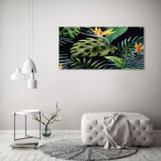 Wallmuralia.sk Foto obraz akryl do obývačky Tropický ostrov 100x50 cm 2 prívesky