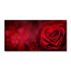 Wallmuralia.sk Foto obraz akryl do obývačky Červená ruža srdce 100x50 cm 2 prívesky
