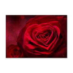 Wallmuralia.sk Foto obraz akryl do obývačky Červená ruža srdce 100x50 cm 2 prívesky