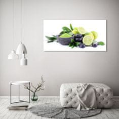 Wallmuralia.sk Foto obraz akryl do obývačky Lemetny a kamenia 125x50 cm 2 prívesky