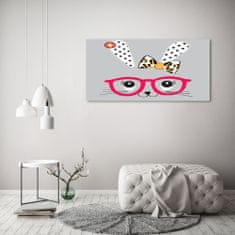 Wallmuralia.sk Foto obraz akryl do obývačky Králik v okuliaroch 100x50 cm 2 prívesky
