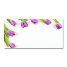 Wallmuralia.sk Foto obraz akryl do obývačky Fialové tulipány 140x70 cm 2 prívesky
