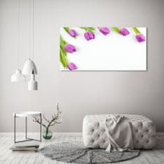 Wallmuralia.sk Foto obraz akryl do obývačky Fialové tulipány 140x70 cm 2 prívesky