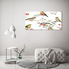 Wallmuralia.sk Foto obraz akryl do obývačky Lesné vtáky rastliny 100x50 cm 2 prívesky