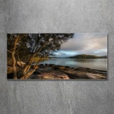 Wallmuralia.sk Foto obraz akryl do obývačky Strom nad riekou 120x60 cm 2 prívesky