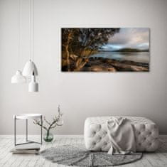Wallmuralia.sk Foto obraz akryl do obývačky Strom nad riekou 120x60 cm 2 prívesky