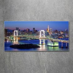 Wallmuralia.sk Foto obraz akryl do obývačky Most v Tokiu 100x50 cm 2 prívesky
