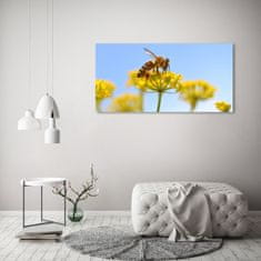 Wallmuralia.sk Foto obraz akryl do obývačky Včela na kvetine 140x70 cm 2 prívesky