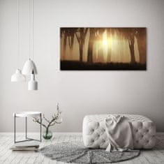 Wallmuralia.sk Foto obraz akryl do obývačky Hmla v lese 125x50 cm 2 prívesky