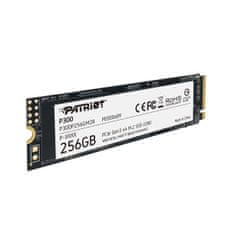 P300/256GB/SSD/M.2 NVMe/3R