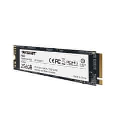 P300/256GB/SSD/M.2 NVMe/3R