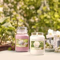 Yankee Candle Classic vonná sviečka v skle Camellia Blossom 623 g