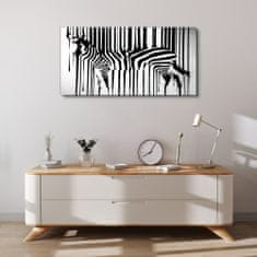 COLORAY.SK Obraz Canvas zebra 100x50 cm